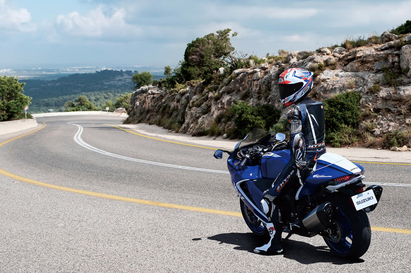 Load image into Gallery viewer, 2026 Suzuki Hayabusa GSX 1300 RR Special Edition