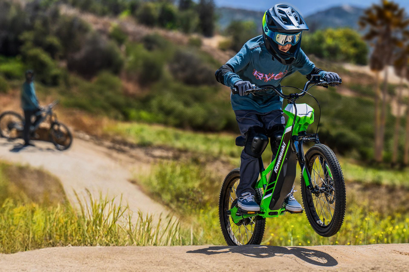 Load image into Gallery viewer, 2025 Kawasaki Elektrode 20