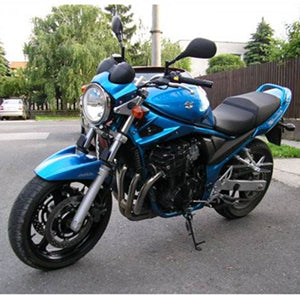 SUZUKI GSF650 2005