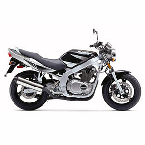 SUZUKI GS500E 2002