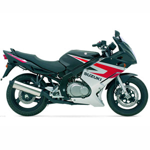 SUZUKI GS500F 2005