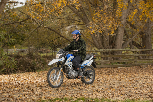 A person wearing a blue helmet and dark plaid jacket rides a white and blue off-road 2026 Suzuki DR 150 motorcycle on a leaf-covered path in an autumn park with trees and a wooden fence.