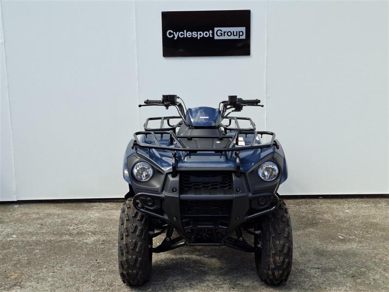 Load image into Gallery viewer, 2025 Kawasaki Brute Force KVF 300
