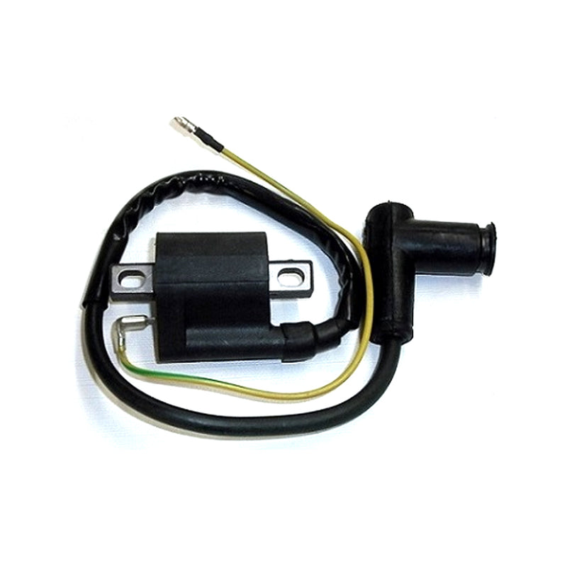 Load image into Gallery viewer, IGNITION COIL
