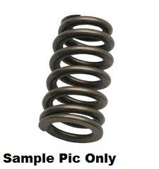 Load image into Gallery viewer, EXHAUST VALVE SPRING PSYCHIC HEAVY DUTY
