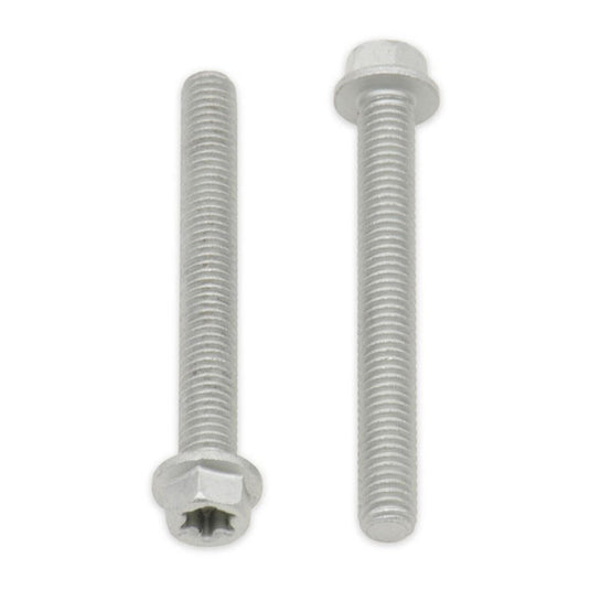 Bolt Euro Torx 6x25mm Flange Bolt (Packet of 10) Refill