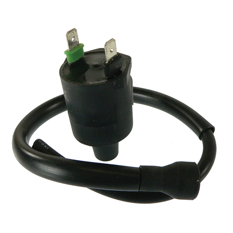 Load image into Gallery viewer, J&amp;N Ignition Coil (160-01020)
