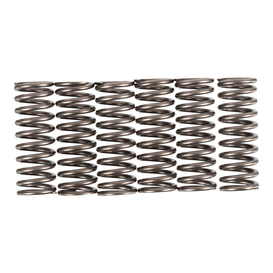 Premier Clutch Springs - Heavy Duty
