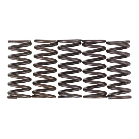 Premier Clutch Springs - Heavy Duty