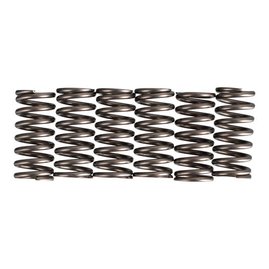 Premier Clutch Springs - Heavy Duty