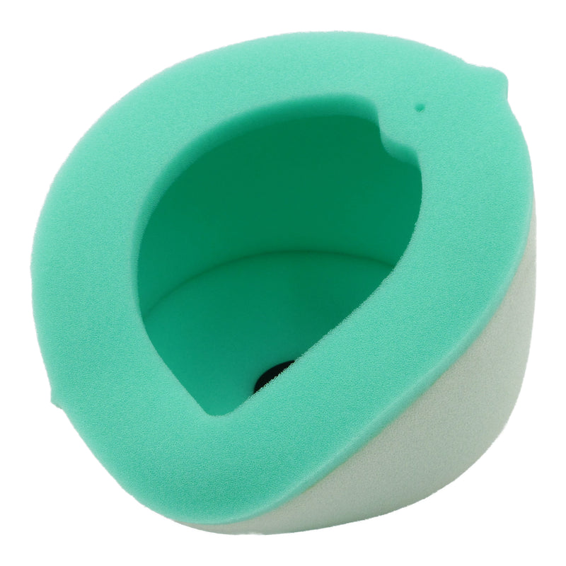 Load image into Gallery viewer, Putoline Air Filter KT4219
