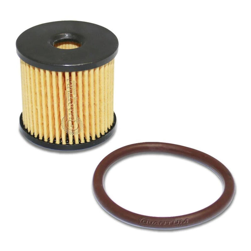 Load image into Gallery viewer, Quantum In-Tank EFI Fuel Pump with Tank Seal, Filter &amp; Strainer
