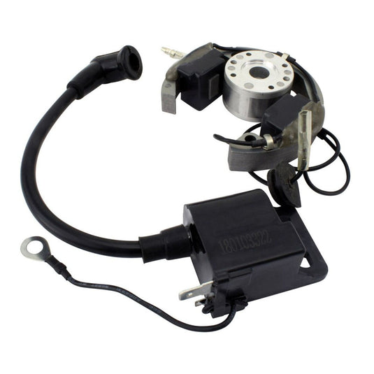 Stator + Rotor + Ignition Coil Kit (RMS900-107608)