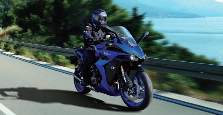 Load image into Gallery viewer, 2025 Suzuki GSX-S 1000 TRQ - Candy Daring Red
