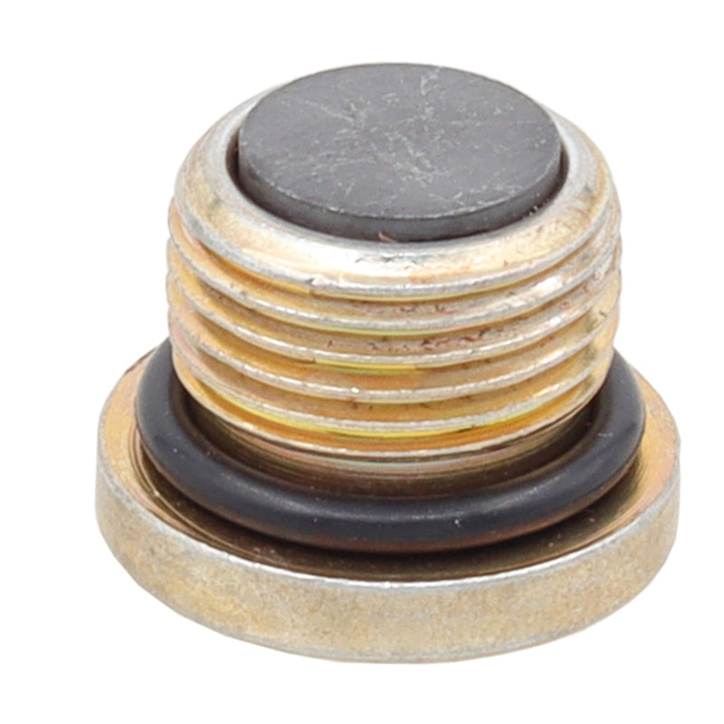 Load image into Gallery viewer, Whites Magnetic Drain Plug M18 x 12.4 - P1.5
