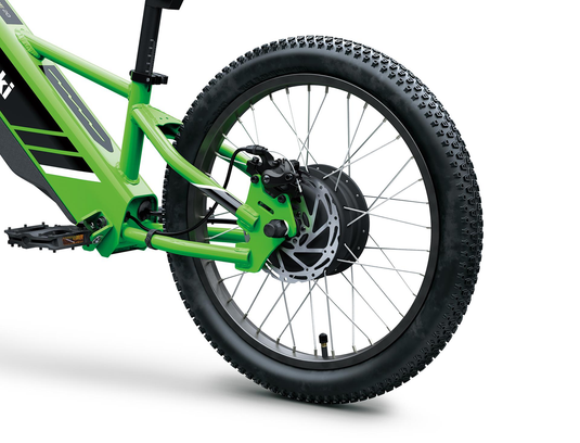 2025 Kawasaki Elektrode 20