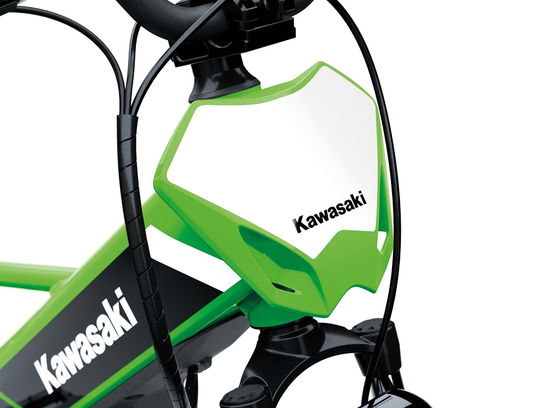 2025 Kawasaki Elektrode 20
