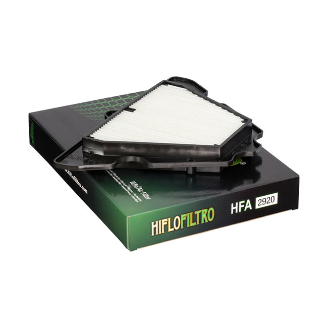 Load image into Gallery viewer, HFA2920 Air Filter
