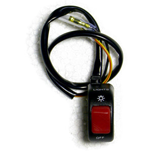 Load image into Gallery viewer, Light Switch - SWH19
