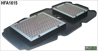 Load image into Gallery viewer, HIFLO HFA1615 Air Filter

