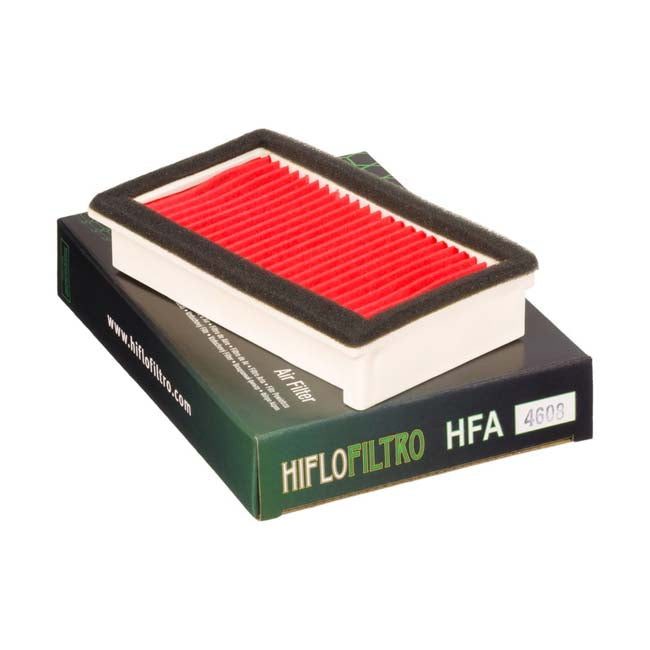 Load image into Gallery viewer, HIFLO HFA4608 Air Filter
